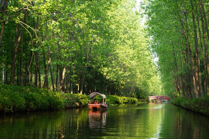 100h0g0000007nfw45B5E