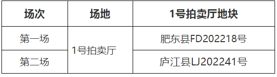 11.png